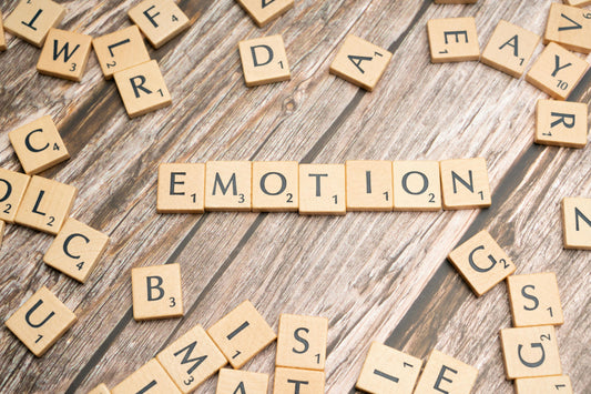 What Are the Key Components of Emotional Intelligence?